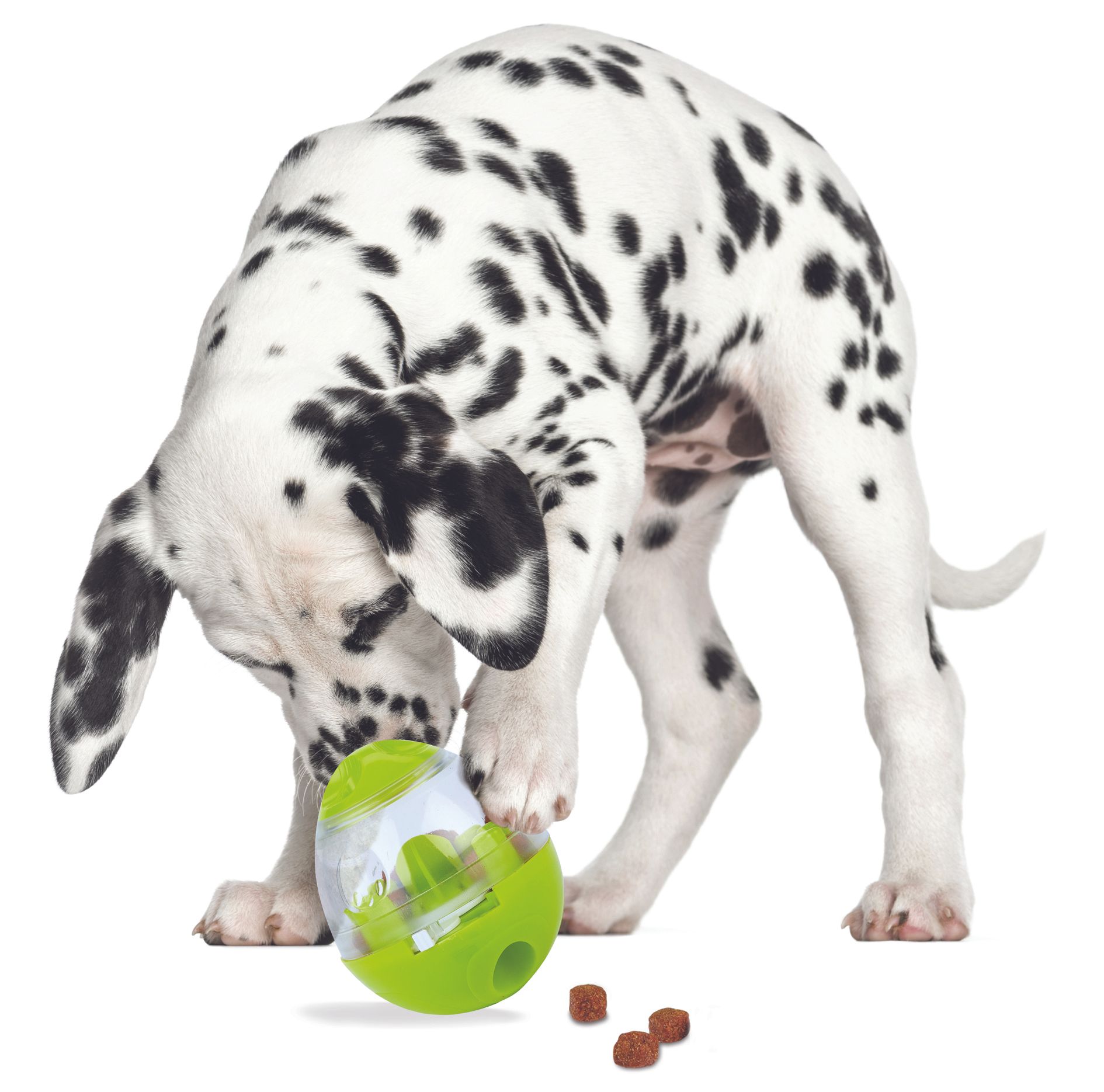 Easy Treats Dog Treat Toy GLEE BIRMINGHAM 2021